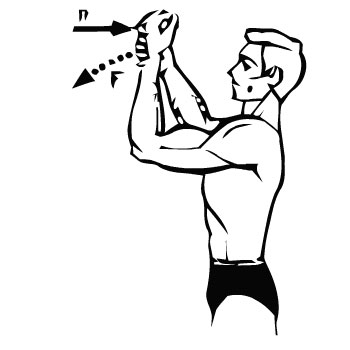 Упражнения для мышц рук - трицепс